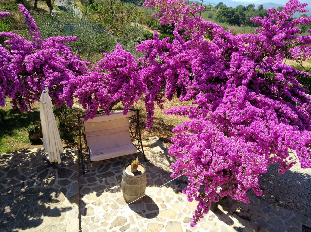 Agriturismo Il Marchese Aquara エクステリア 写真