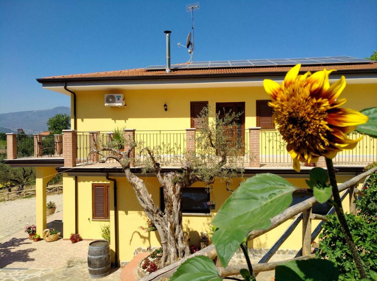 Agriturismo Il Marchese Aquara エクステリア 写真