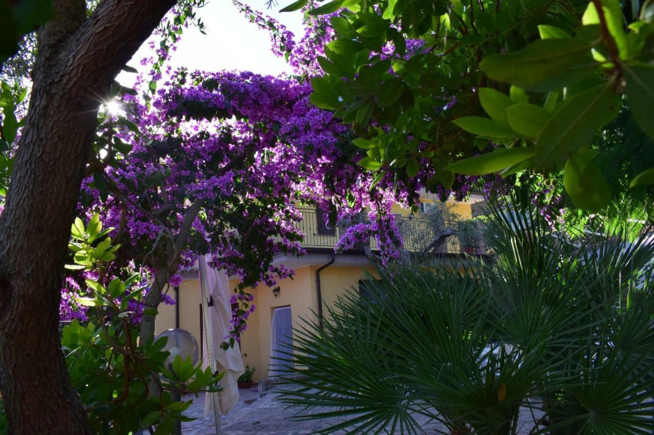 Agriturismo Il Marchese Aquara エクステリア 写真